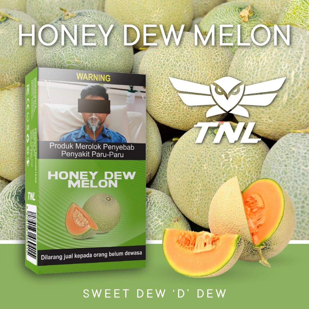 Honey Dew Melon